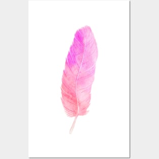 Watercolor pink feather Posters and Art